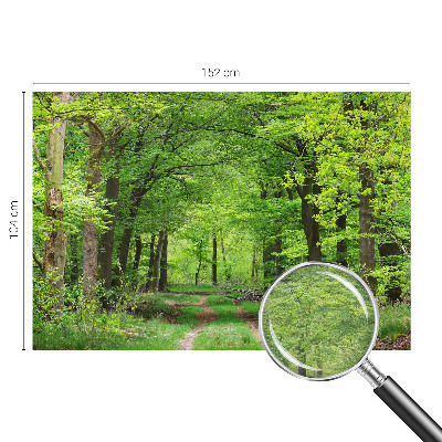 Dekoracyjna fototapeta na ścianę z motywem leśnej ścieżki