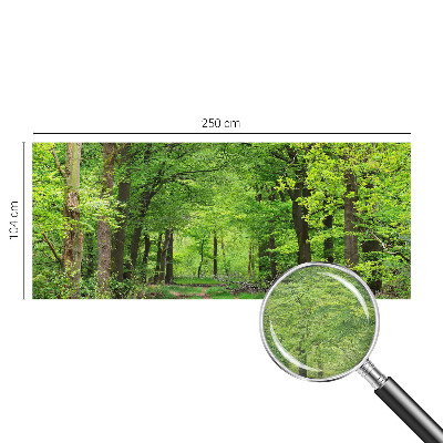 Dekoracyjna fototapeta na ścianę z motywem leśnej ścieżki