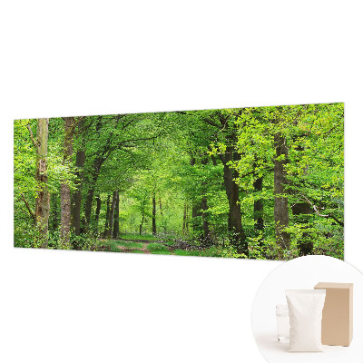 Dekoracyjna fototapeta na ścianę z motywem leśnej ścieżki