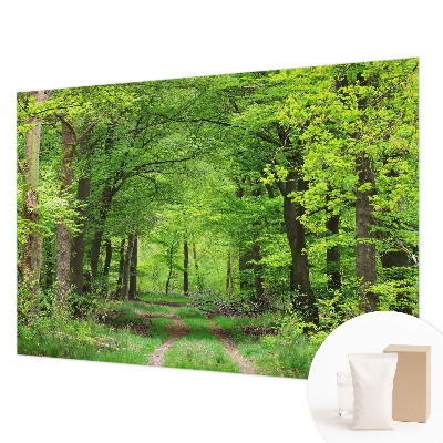 Dekoracyjna fototapeta na ścianę Leśna ścieżka