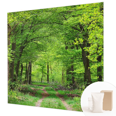 Dekoracyjna fototapeta na ścianę Leśna ścieżka