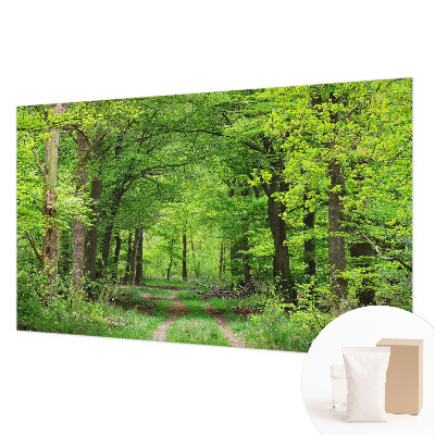 Dekoracyjna fototapeta na ścianę Leśna ścieżka