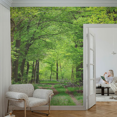 Dekoracyjna fototapeta na ścianę z motywem leśnej ścieżki