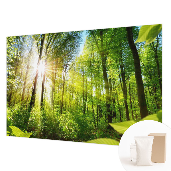 Fototapeta fizelinowa z nadrukiem Leśne światło