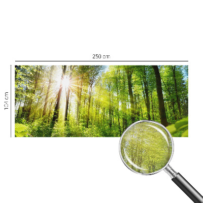 Fototapeta fizelinowa z nadrukiem Leśne światło