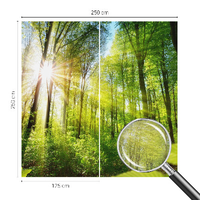 Fototapeta fizelinowa z nadrukiem z motywem „Leśne światło”