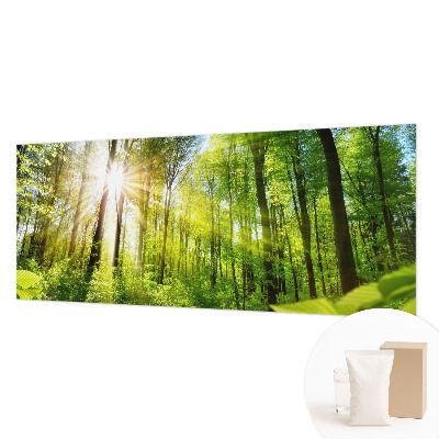 Fototapeta fizelinowa z nadrukiem Leśne światło