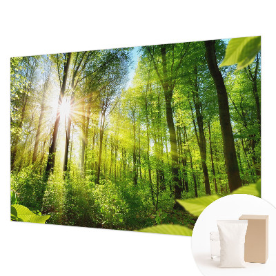 Fototapeta fizelinowa z nadrukiem Leśne światło