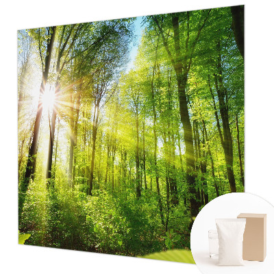 Fototapeta fizelinowa z nadrukiem Leśne światło