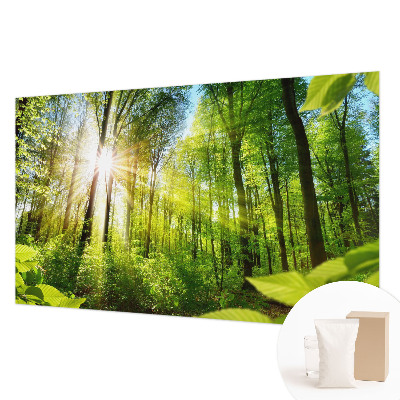 Fototapeta fizelinowa z nadrukiem Leśne światło