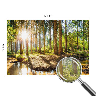 Fototapeta na ścianę z motywem leśnej idylli