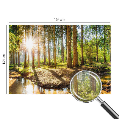 Fototapeta na ścianę z motywem leśnej idylli