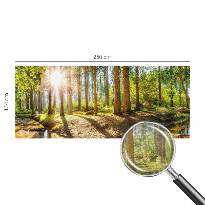 Fototapeta na ścianę z motywem leśnej idylli