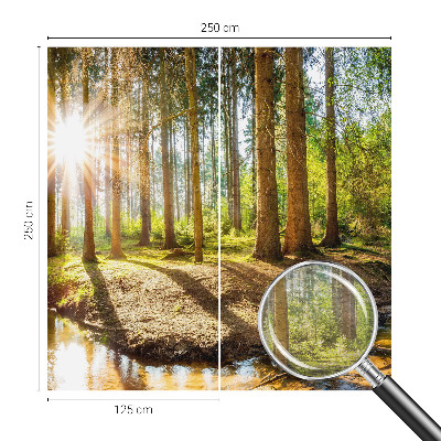 Fototapeta na ścianę z motywem leśnej idylli