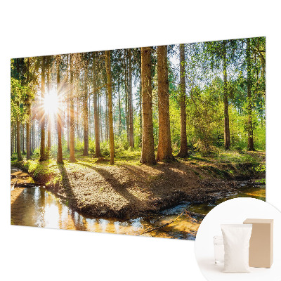 Fototapeta na ścianę z motywem leśnej idylli