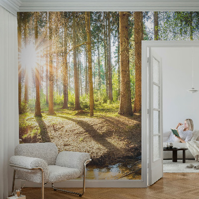Fototapeta na ścianę z motywem leśnej idylli