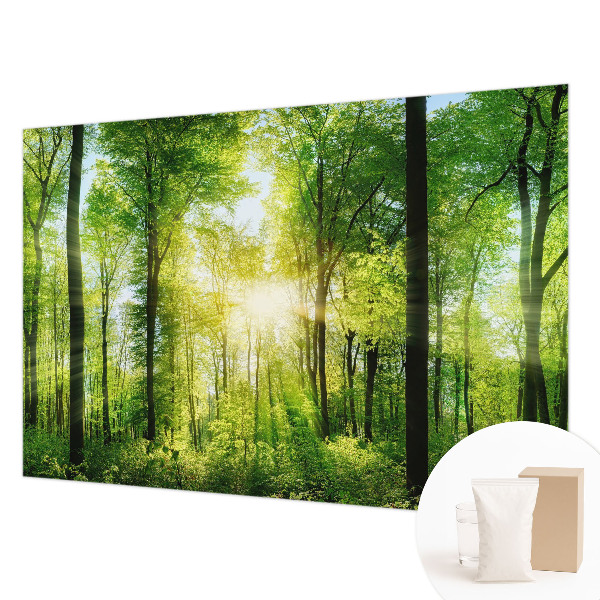 Nowoczesna fototapeta do salonu z motywem leśnej harmonii
