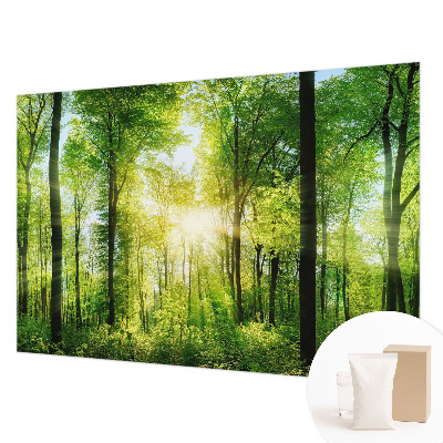 Nowoczesna fototapeta do salonu z motywem leśnej harmonii