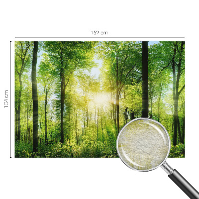Nowoczesna fototapeta do salonu z motywem leśnej harmonii