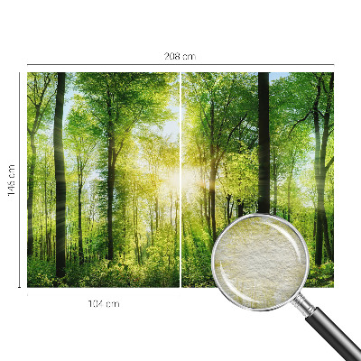 Nowoczesna fototapeta do salonu z motywem leśnej harmonii