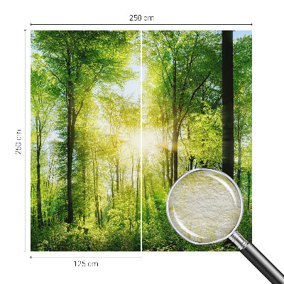Nowoczesna fototapeta do salonu z motywem leśnej harmonii