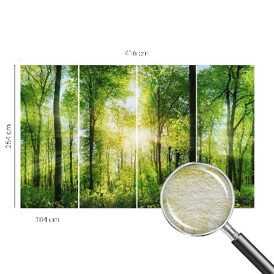 Nowoczesna fototapeta do salonu z motywem leśnej harmonii
