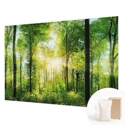 Nowoczesna fototapeta do salonu z motywem leśnej harmonii