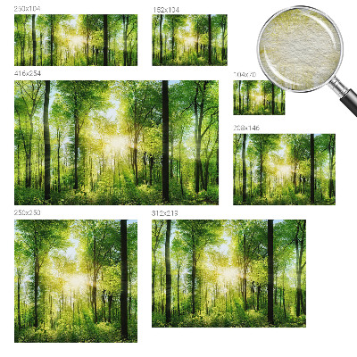 Nowoczesna fototapeta do salonu z motywem leśnej harmonii