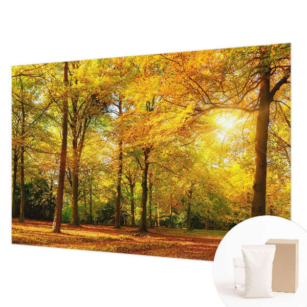 Fototapeta fizelinowa z nadrukiem Złote liście