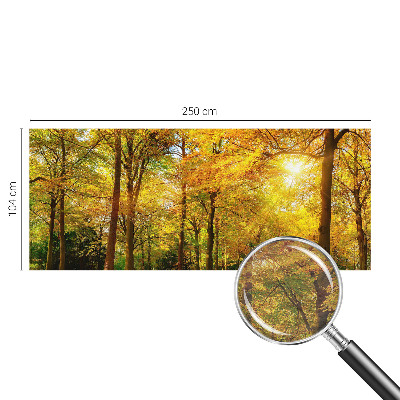 Fototapeta fizelinowa z nadrukiem Złote liście