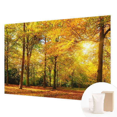 Fototapeta fizelinowa z nadrukiem Złote liście