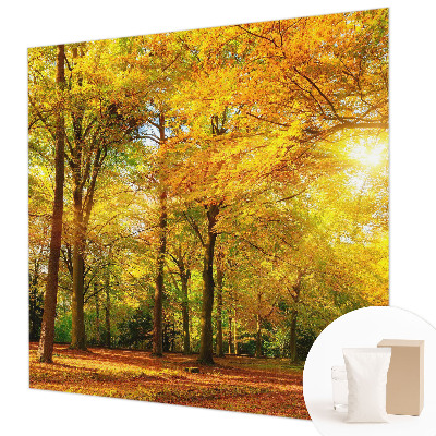 Fototapeta fizelinowa z nadrukiem Złote liście