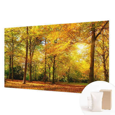 Fototapeta fizelinowa z nadrukiem Złote liście