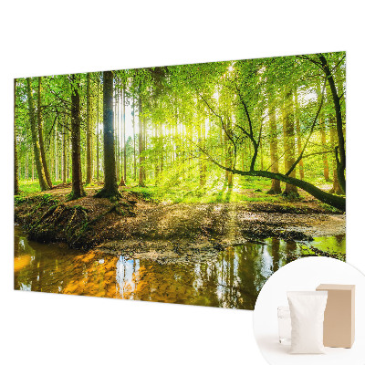 Fototapeta na ścianę z zielonym krajobrazem