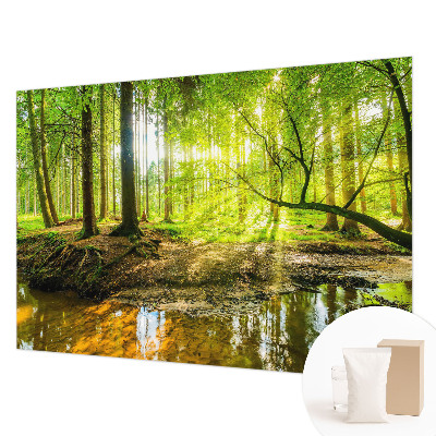 Fototapeta na ścianę z zielonym krajobrazem