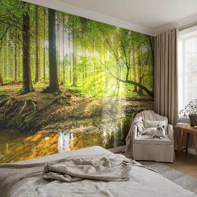 Fototapeta na ścianę z zielonym krajobrazem