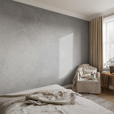 Fototapeta fizelinowa z nadrukiem Elegancka szarość