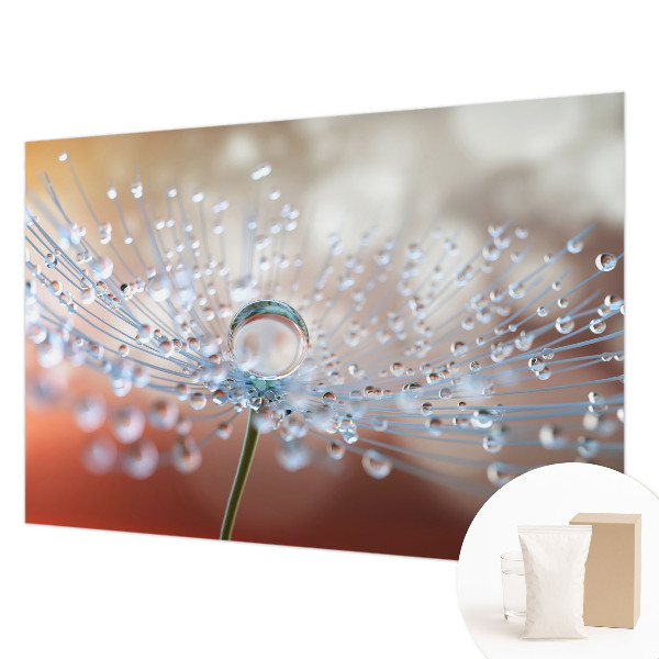 Fototapeta fizelinowa z nadrukiem Kropla na dmuchawcu