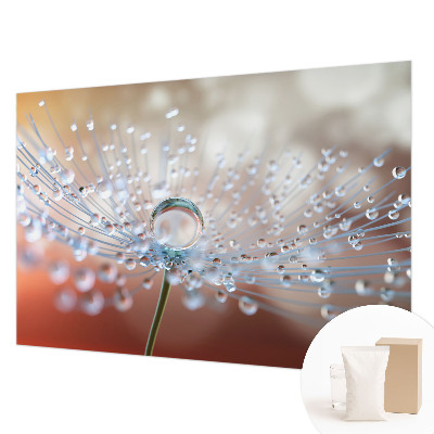 Fototapeta fizelinowa z nadrukiem Kropla na dmuchawcu