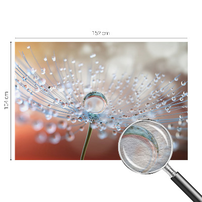 Fototapeta fizelinowa z nadrukiem Kropla na dmuchawcu