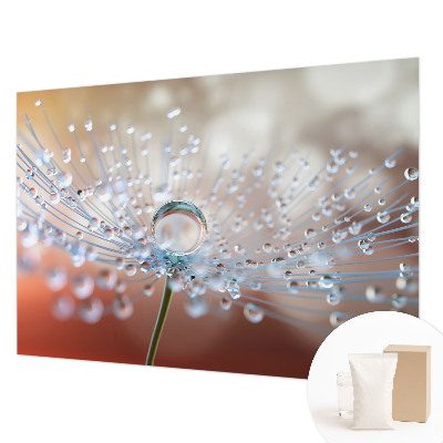 Fototapeta fizelinowa z nadrukiem Kropla na dmuchawcu