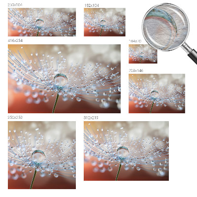 Fototapeta fizelinowa z nadrukiem Kropla na dmuchawcu