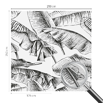 Fototapeta na ścianę Bananowe liście