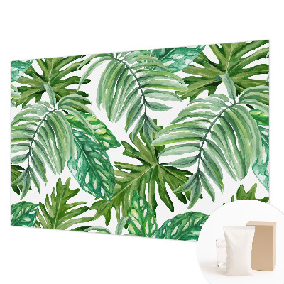 Tapeta fotograficzna Egzotyczne liście