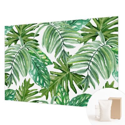 Tapeta fotograficzna Egzotyczne liście