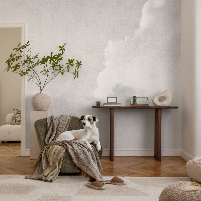 Tapeta fotograficzna z motywem subtelnych chmur