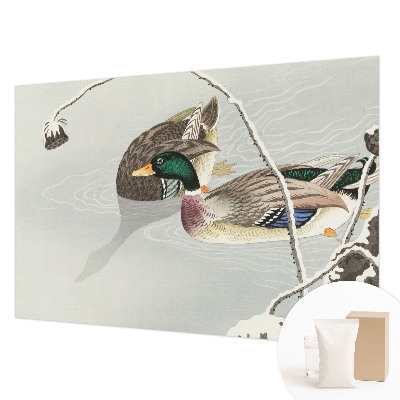 Tapeta fotograficzna Spokojne kaczki