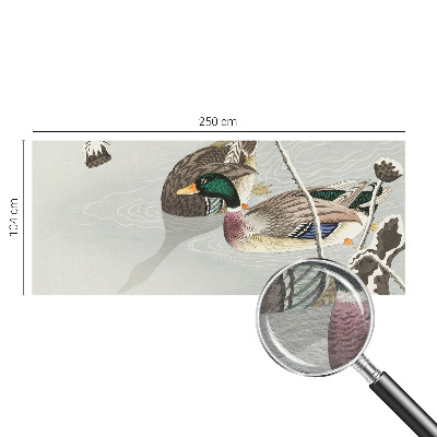 Tapeta fotograficzna Spokojne kaczki