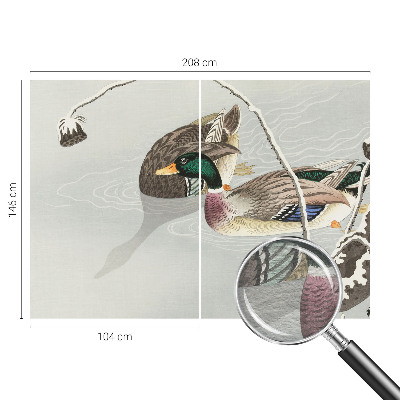 Tapeta fotograficzna Spokojne kaczki