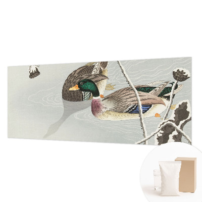 Tapeta fotograficzna Spokojne kaczki